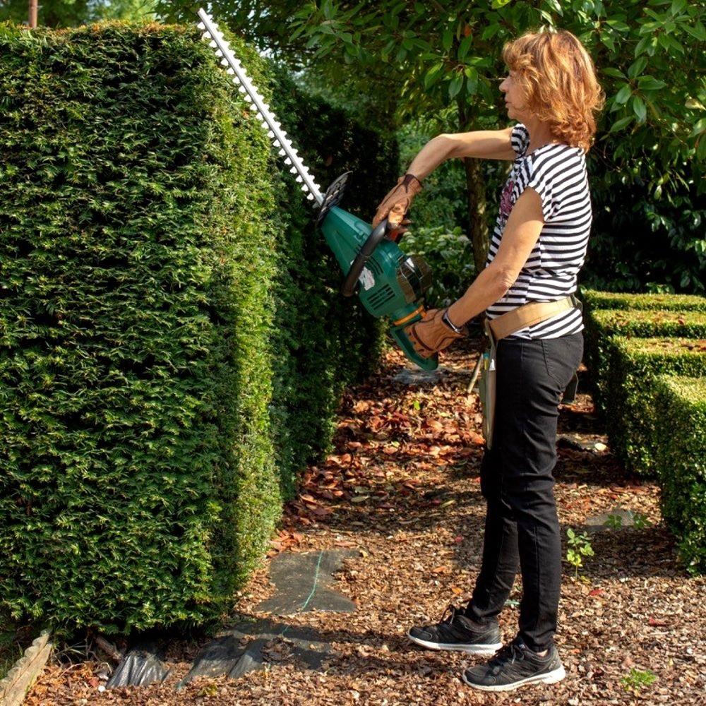 Hedge trimmer detail view