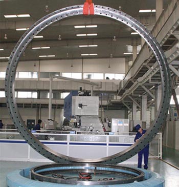 Slewing Ring Bearing