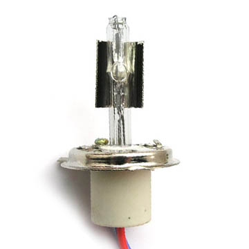 Fluid Check Valve