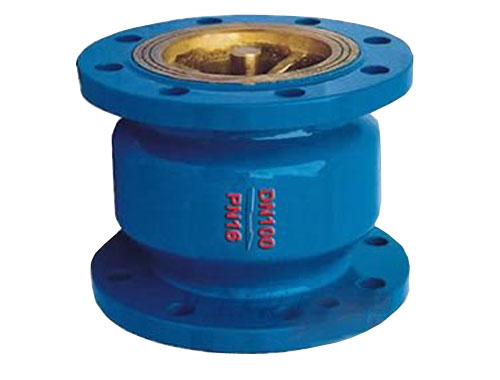 Flanged Industrial Check Valve DN100 PN16