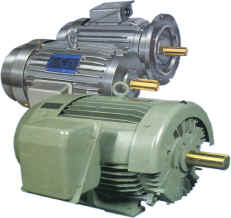 Electric Motors for Chemical Processing