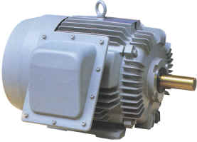 Industrial Electric Motor for Chemical Processing