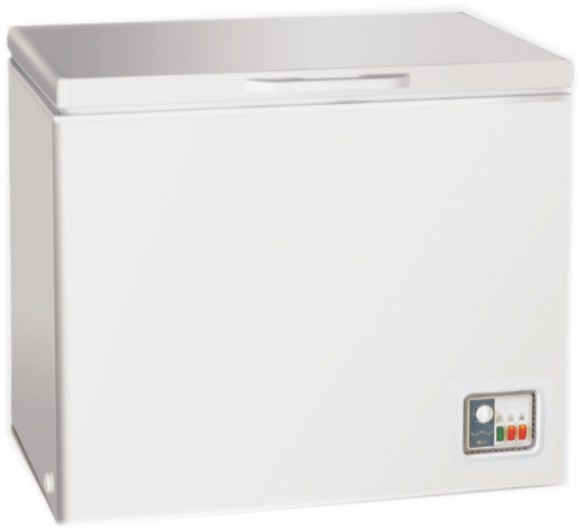 300-Liter Chest Freezer with Basket