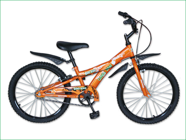20-inch Children's Bicycle with Caliper Brakes