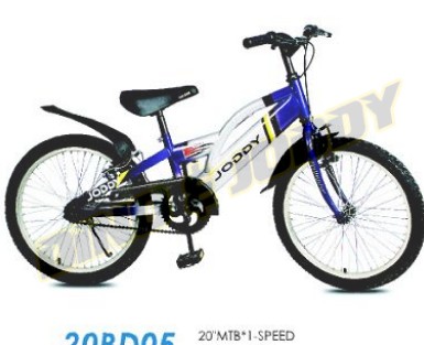 20-inch Children's Mountain Bike