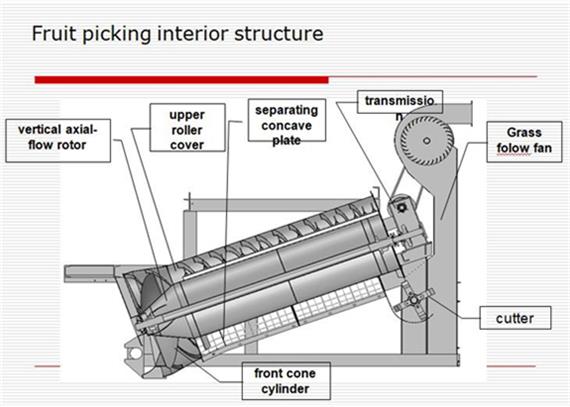 Internal fruit picking structure and rotor