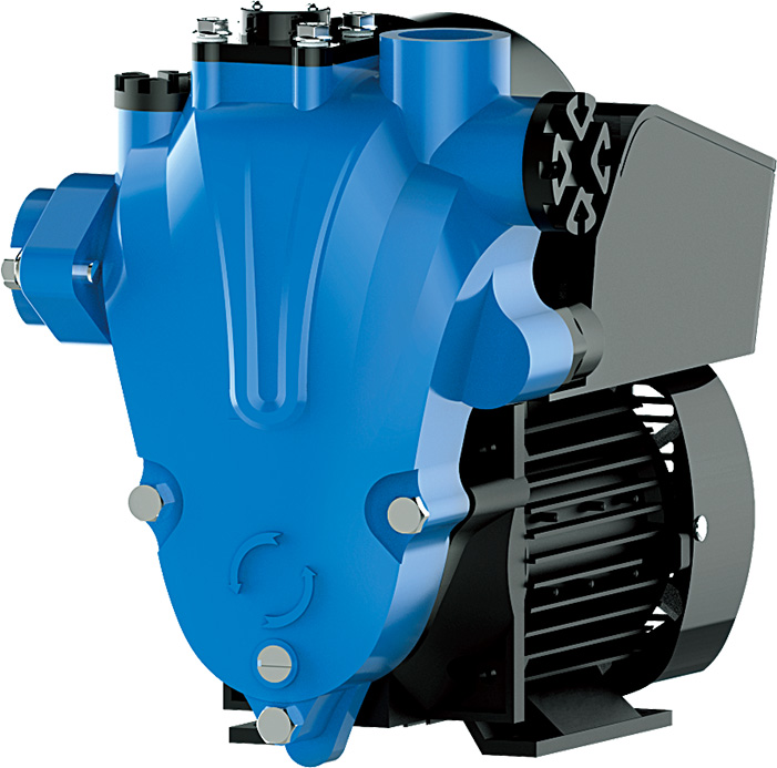CHV-X2  Full Automatic Cold and Hot Water Self Suction Vortex Electric Pump - Image 3