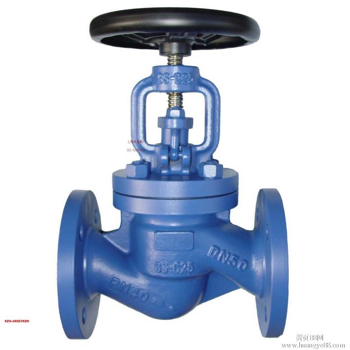 C.I. GLOBE VALVE - Image 3