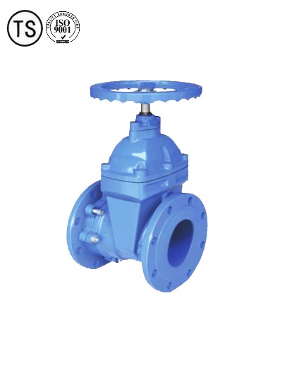 C.I.NON-RISING STEM WEDGE GATE VALVE - Image 2