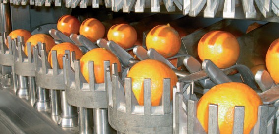 CITRUS FRUIT PROCESS PLANT/MACHINERY - Image 2