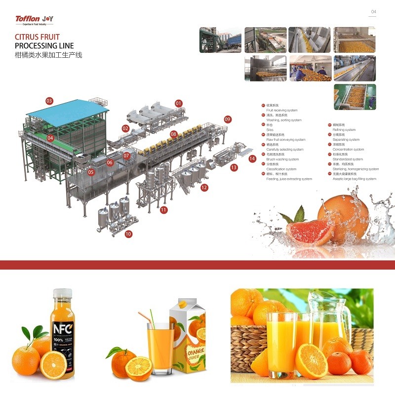 Citrus Fruit Processing Line - Image 3