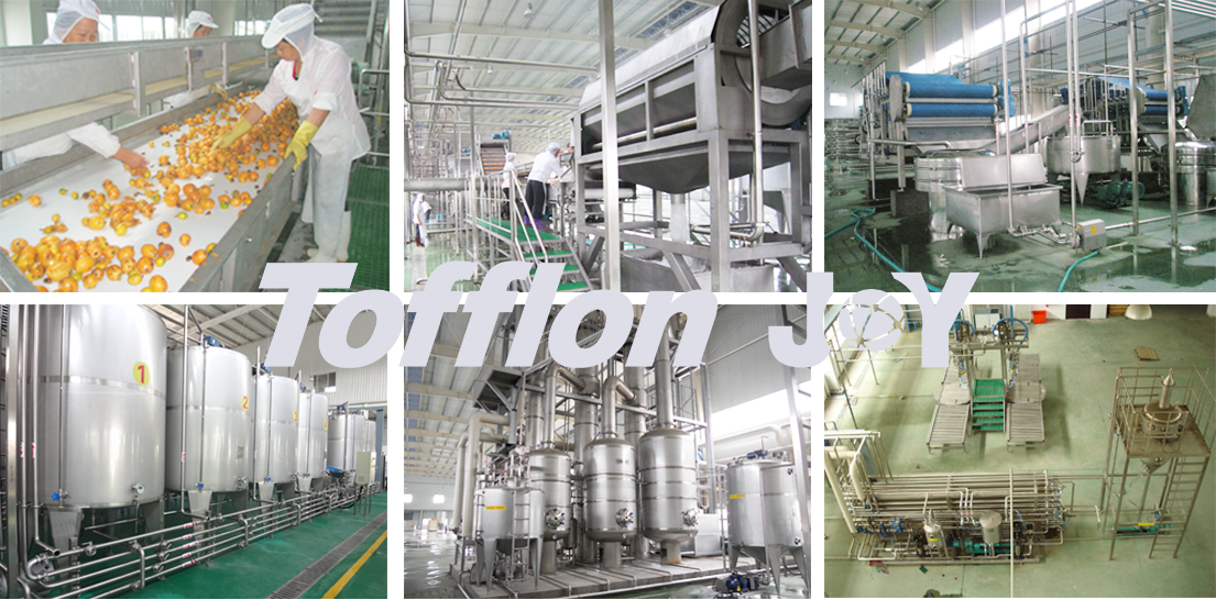 Industrial citrus processing line layout