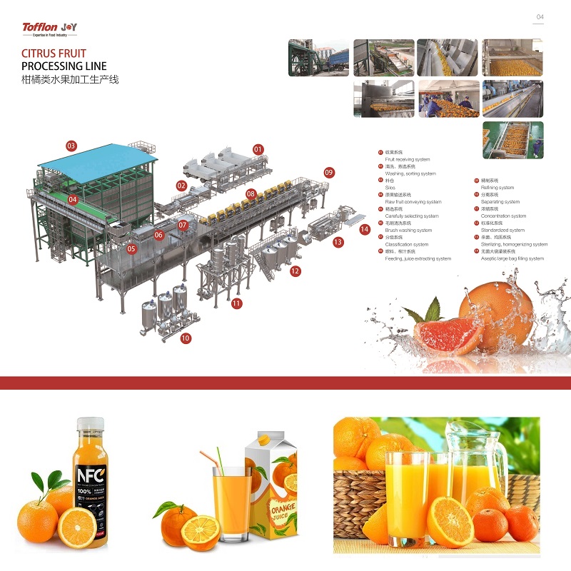 Citrus fruit processing line - Image 3