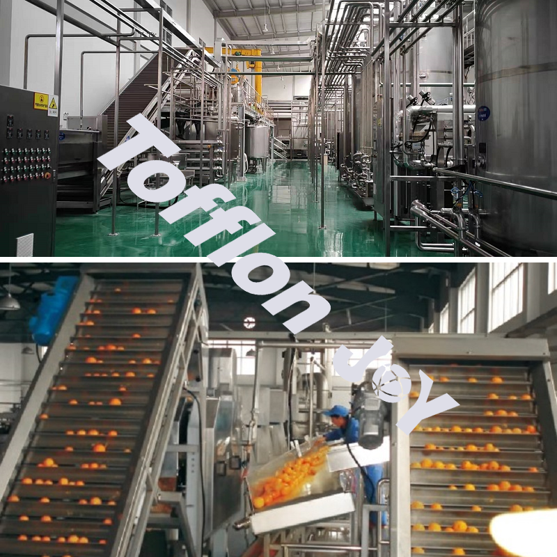 Citrus fruit processing line - Image 2