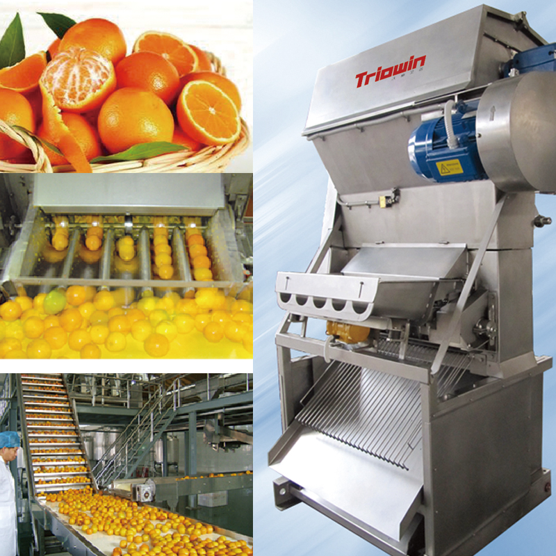 Citrus Processing Line - Image 2