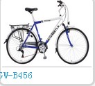 Step-Through Frame City Bicycle