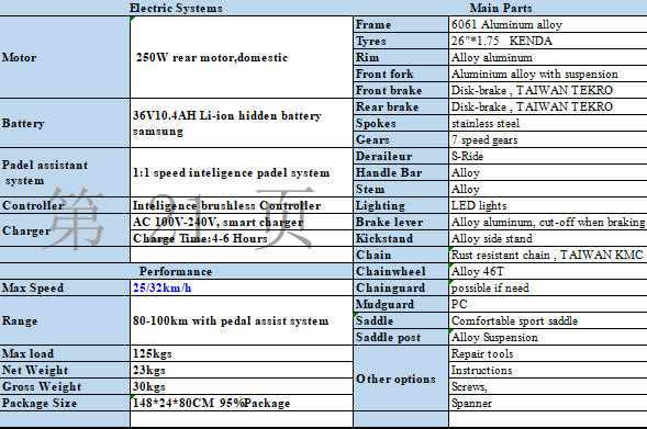 Technical specification chart for the electric city bike