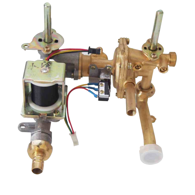 CKD/SKD Gas Water Heater Spare Parts - Image 2