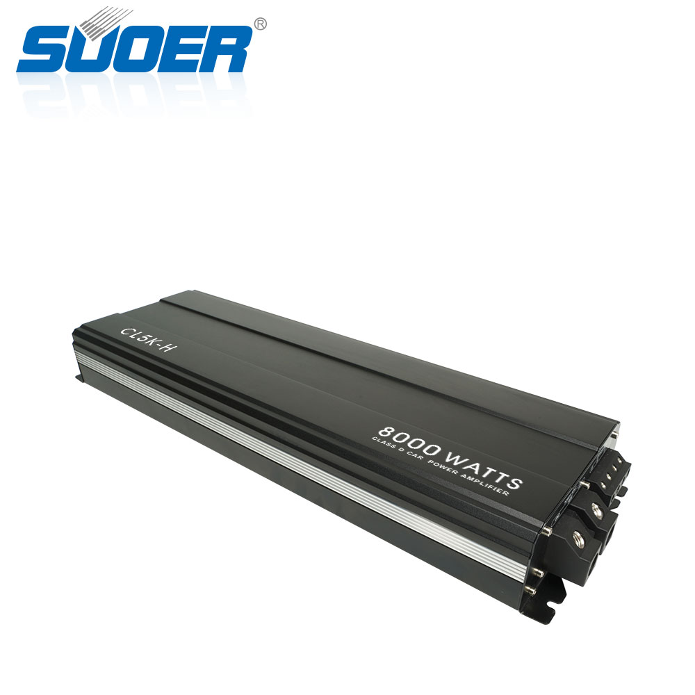 8000W Mono Channel Class D Car Amplifier