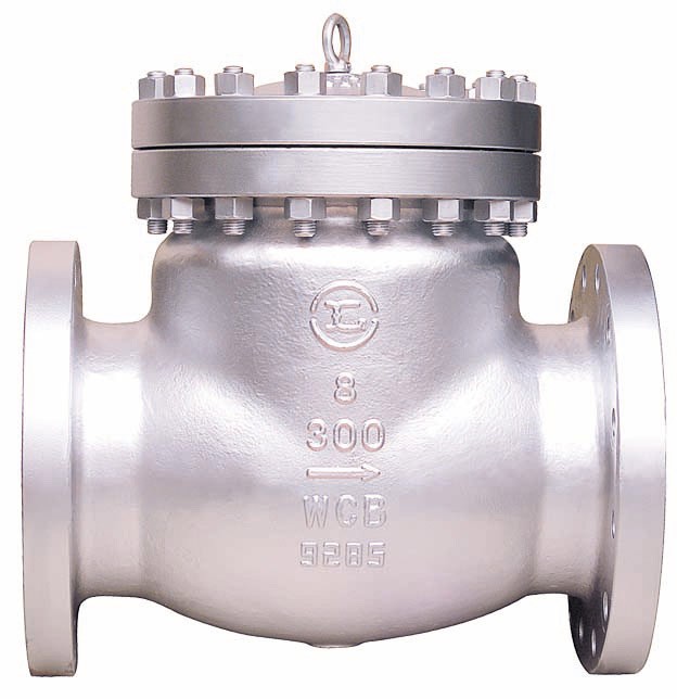 Class150WCB Swing Check Valve - Image 2