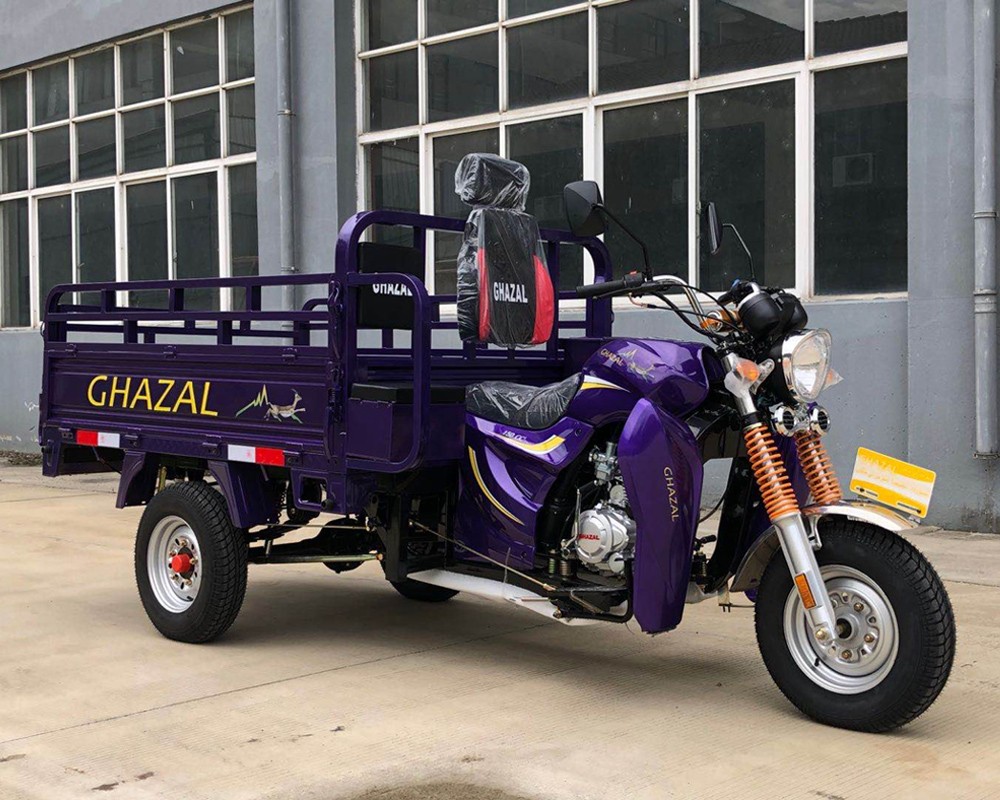 Classic 150cc Gasoline Cargo Tricycle - Image 2