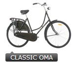 Step-Through Frame City Bicycle