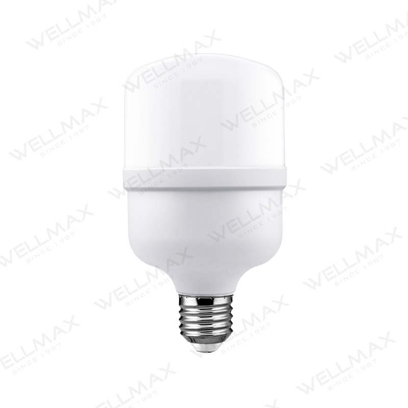 Classic Series T-Shape Bulb - Image 2