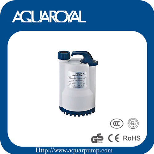 Submersible Clean Water Pump with Plastic Housing