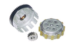 Multi-Plate Clutch Assembly with Pinion Gear