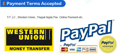 Accepted payment methods including PayPal and Western Union