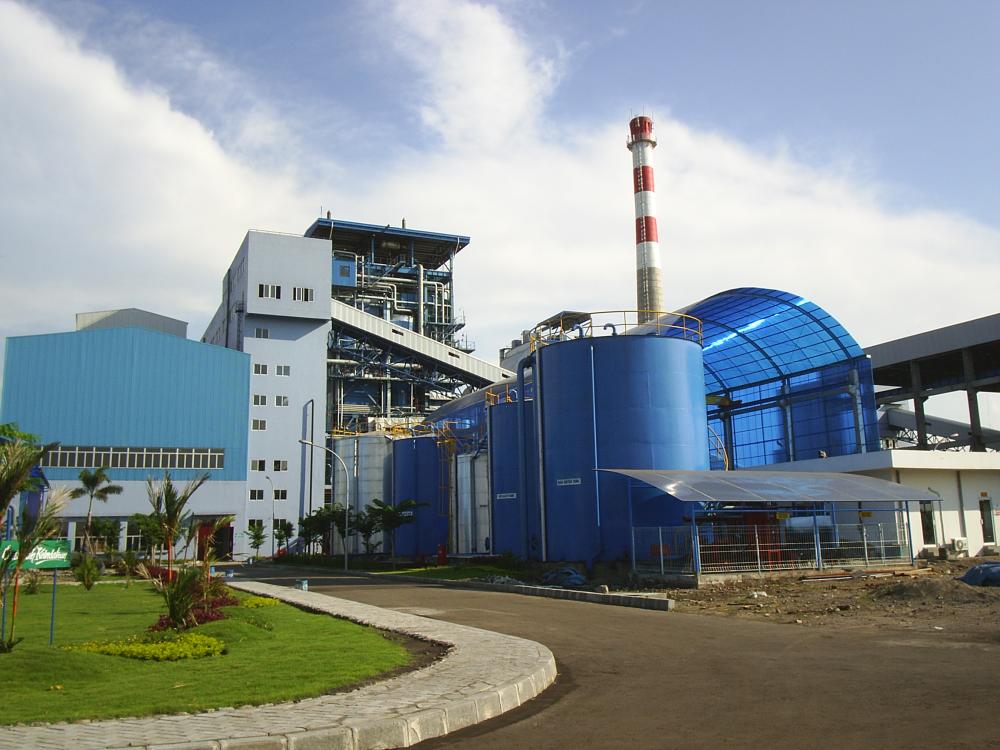 Coal-Fired Power Plant for Electricity Generation