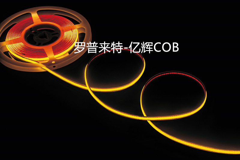 COB  LIGHT - Image 3