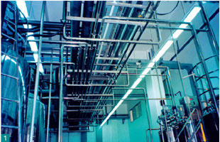 Industrial Beverage Processing Piping System