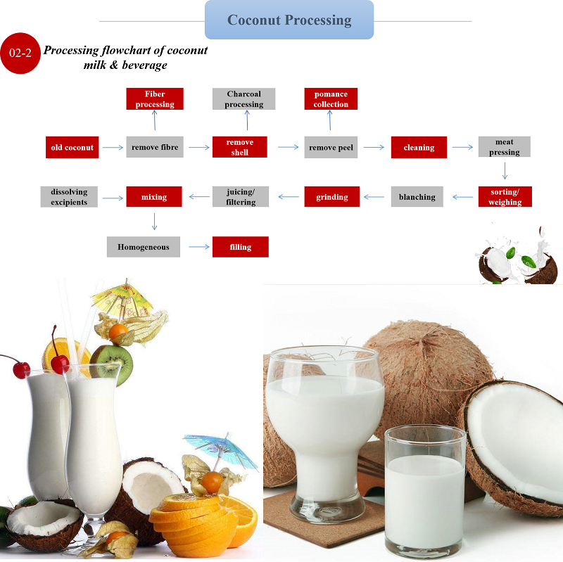 Coconut processing line - Image 3