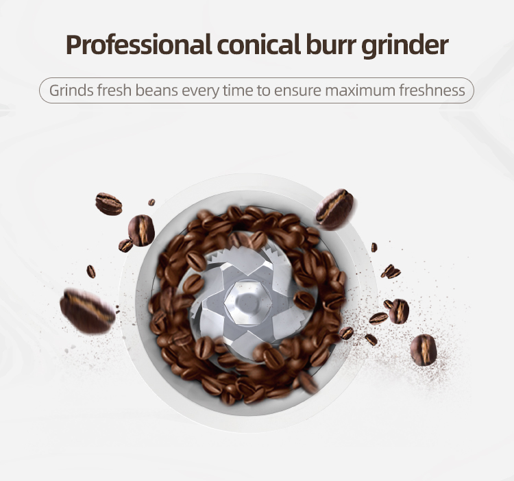 Professional conical burr grinder mechanism