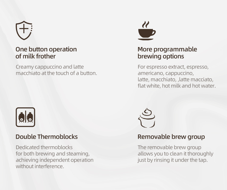 Double thermoblock and removable brew group details