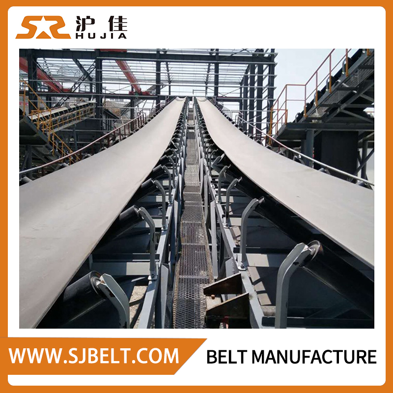 Cold Environment Conveyor Belt