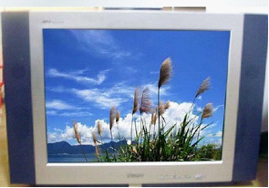 14-Inch CRT Color Television