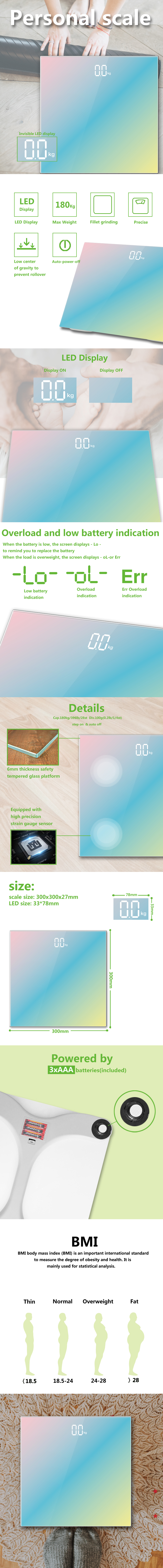 Detailed technical features of the LED body scale