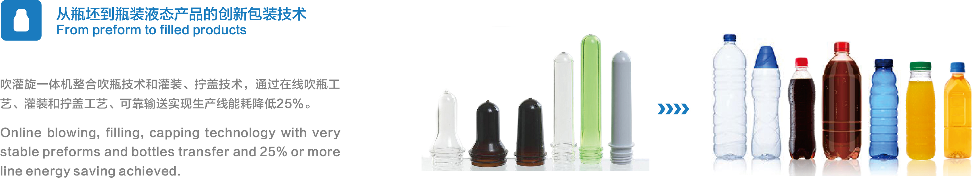 Integrated Blow Fill Cap Machine