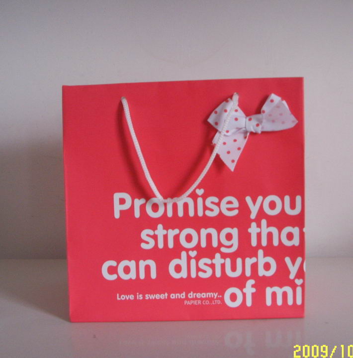 Polka Dot Gift Bag with Rope Handles