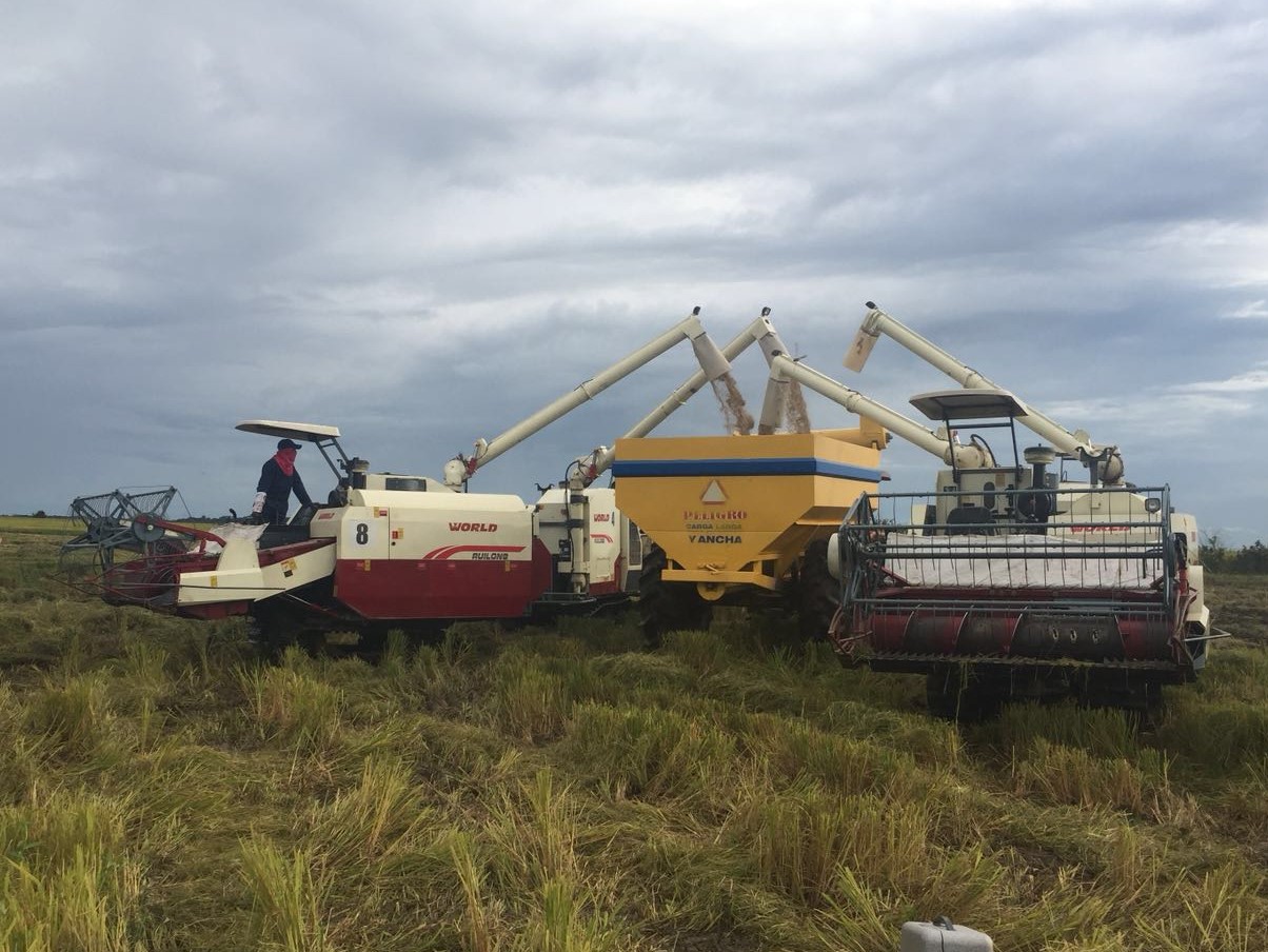 COMBINE HARVESTER - Image 2