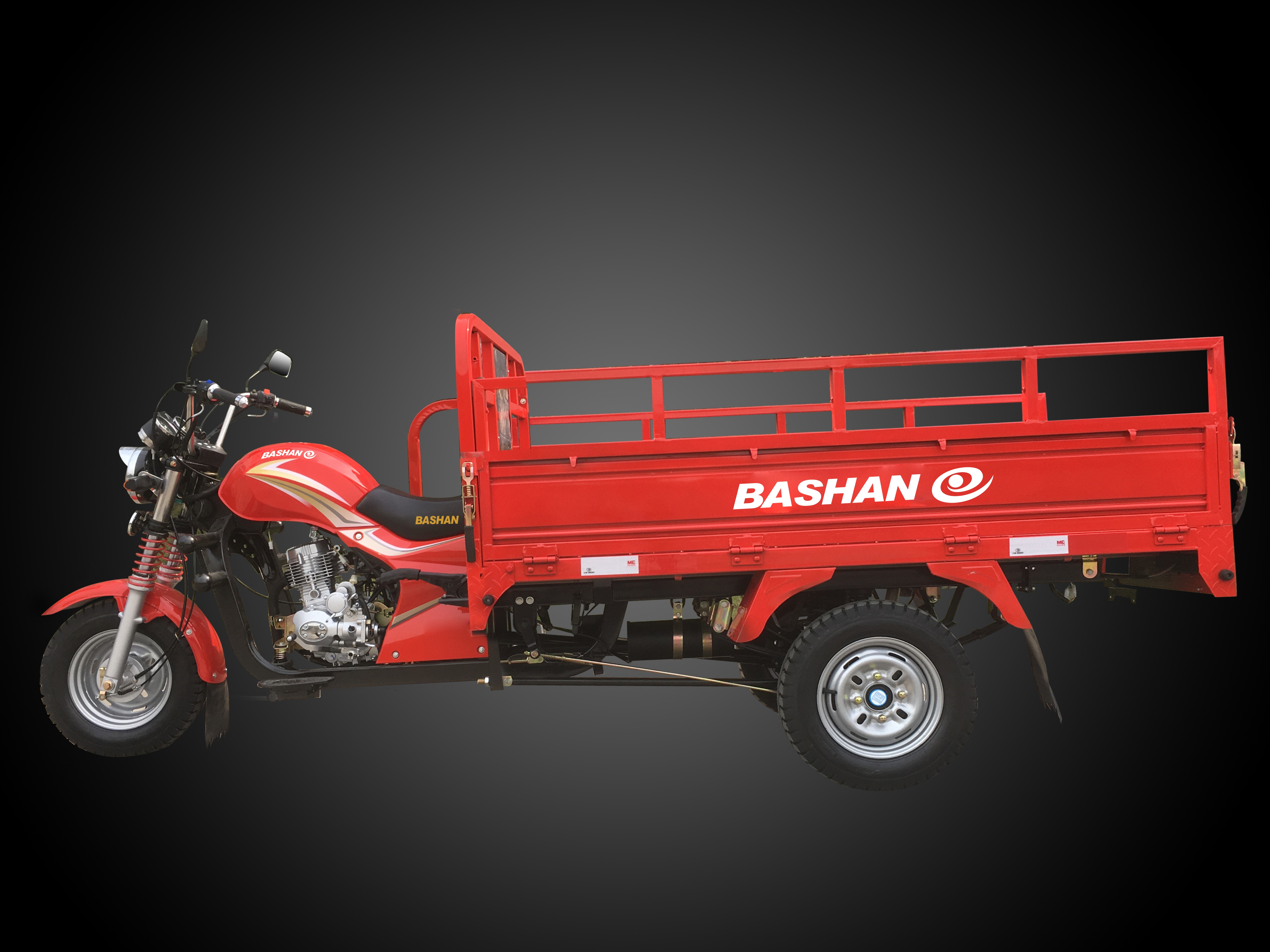 Cargo Transport Tricycle