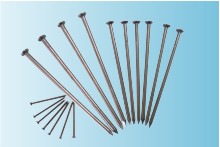 General Purpose Common Nails