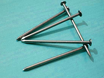 Common Round Iron Nail in China - Image 2