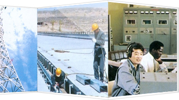 Telecommunications Infrastructure Construction