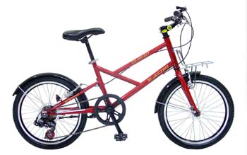 Step-Through Frame City Bicycle