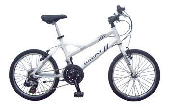 Step-Through Frame City Bicycle