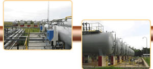 Industrial Processing Plant