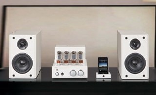 Stereo Tube Amplifier System with Bookshelf Speakers